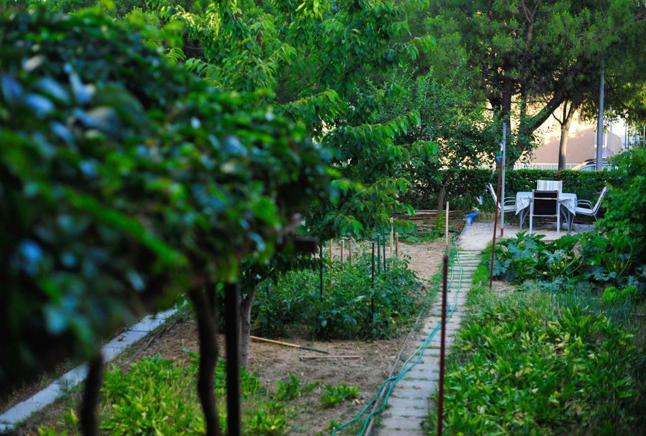 Green Garden Apartment Split Dış mekan fotoğraf